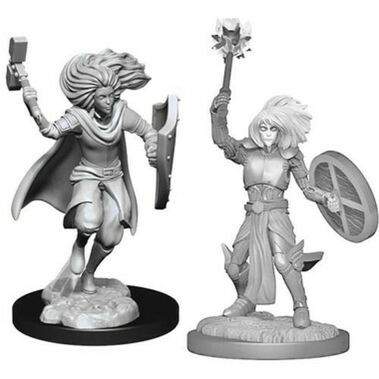 D&D Nolzur's Marvelous Miniatures: Changeling Cleric Male Wave 14