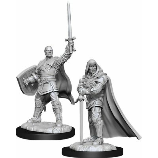 D&D Nolzur's Marvelous Miniatures: Human Paladin Male Wave 13