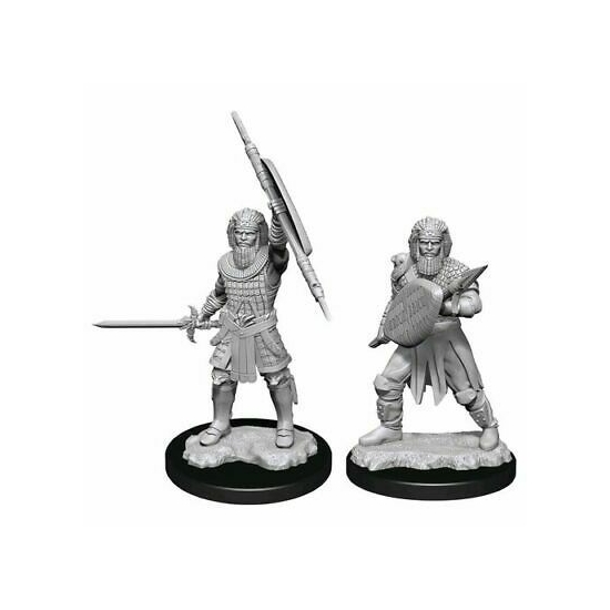 D&D Nolzur's Marvelous Miniatures: Human Fighter Male Wave 13