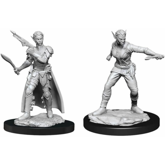 D&D Nolzur's Marvelous Miniatures: Shifter Rogue Female Wave 13