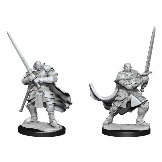 D&D Nolzur's Marvelous Miniatures: Half-Orc Paladin Male Wave 15