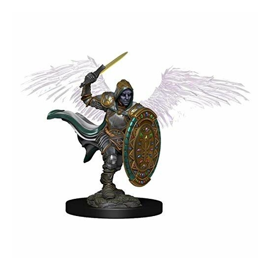 D&D Icons: Aasimar Paladin Male Premium Prepainted