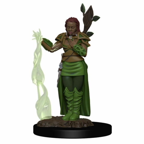 D&D Icons: Human Female Druid Premium Prepainted