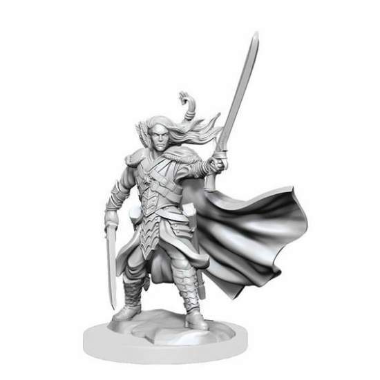 D&D Frameworks: Male Elf Ranger (W1)