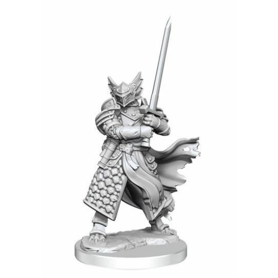 D&D Frameworks: Male Dragonborn Paladin (W1)