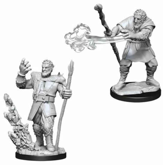 D&D Nolzur's Marvelous Miniatures: Firbolg Druid Male Wave 11