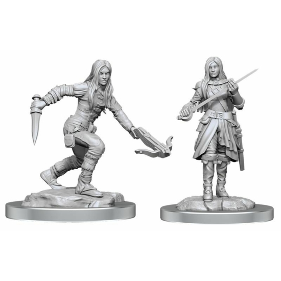 D&D Nolzur's Marvelous Miniatures: Half-Elf Rogue Female Wave 17