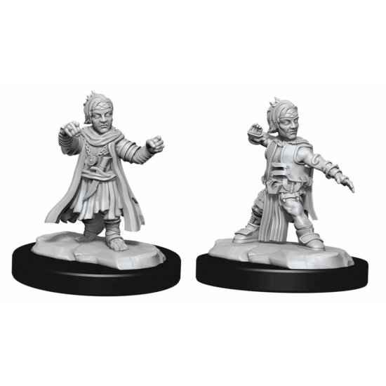 Pathfinder Deep Cuts: Halfling Monk Male