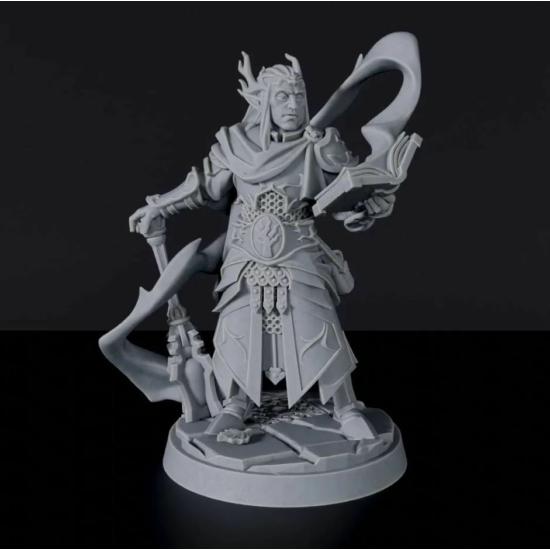 Titan Forge Miniatures: Elf Male Cleric ver 1