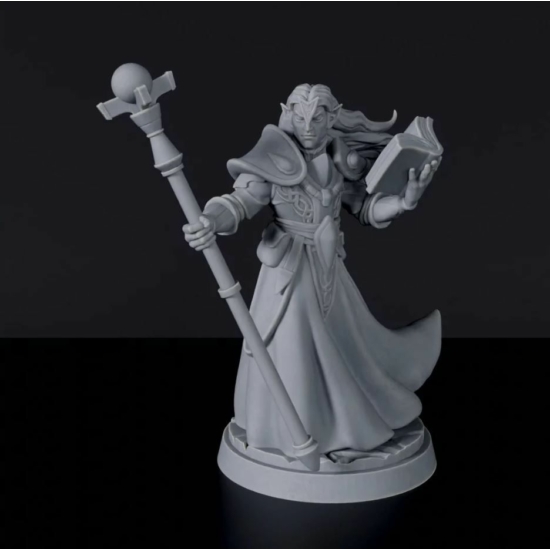 Titan Forge Miniatures: Elf Male Wizard ver 1