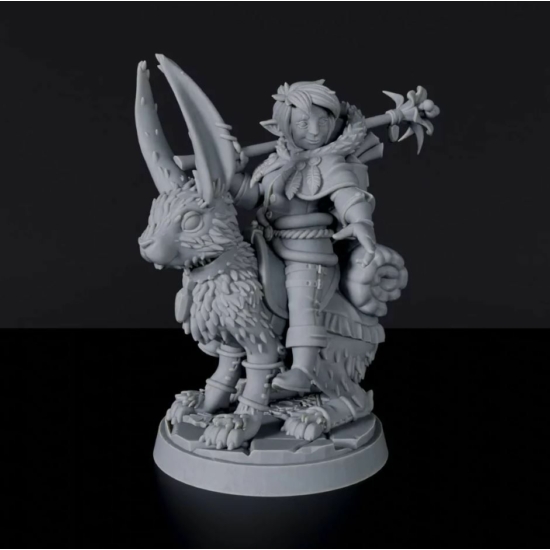 Titan Forge Miniatures: Gnome Female Druid ver 1