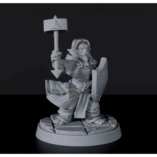 Titan Forge Miniatures: Gnome Male Cleric ver 3