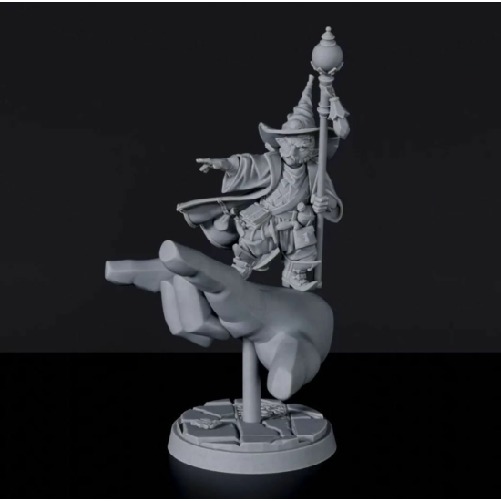 Titan Forge Miniatures: Gnome Male Wizard ver 3