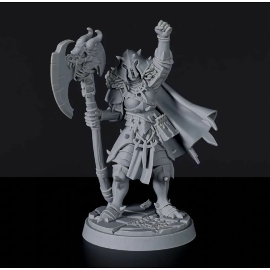 Titan Forge Miniatures: Half-Orc Female Paladin ver 2