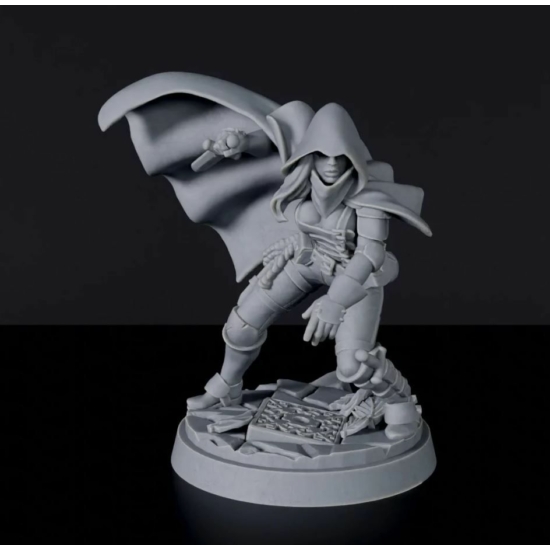 Titan Forge Miniatures: Human Female Rogue