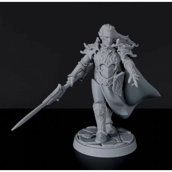 Titan Forge Miniatures: Human Male Fallen Paladin ver 1