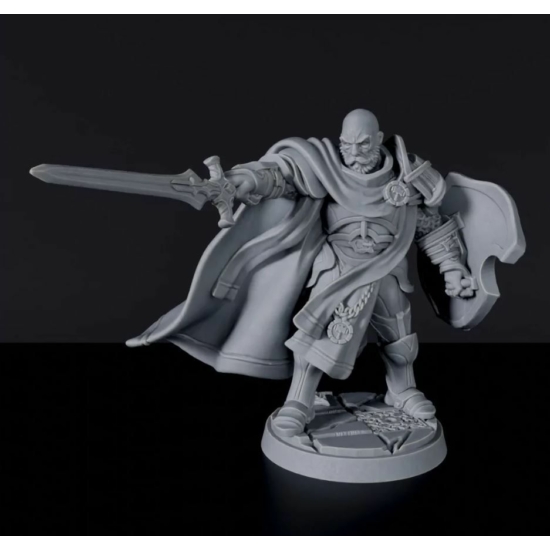 Titan Forge Miniatures: Human Male Paladin ver 1