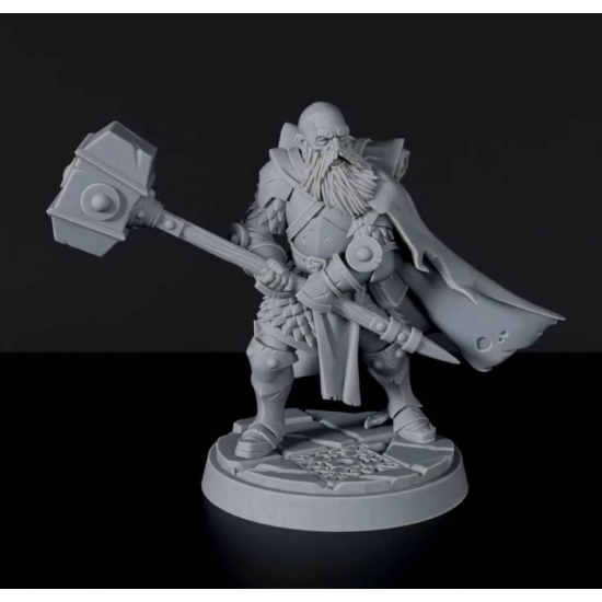 Titan Forge Miniatures: Human Male Paladin ver 2