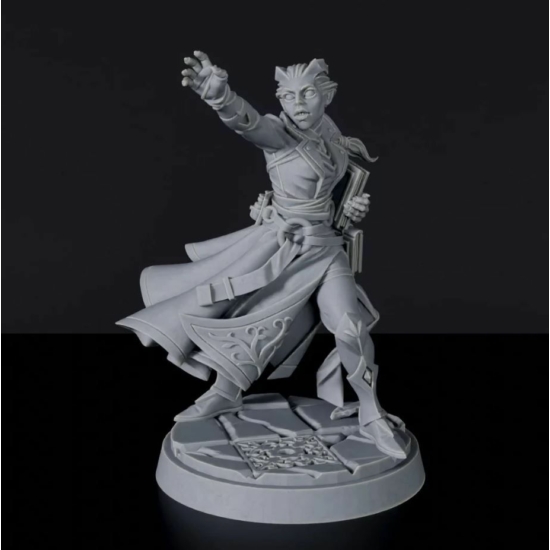 Titan Forge Miniatures: Tiefling Female Sorcerer ver 1