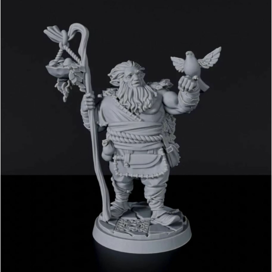 Titan Forge Miniatures: Half-Giant Male Druid ver 1