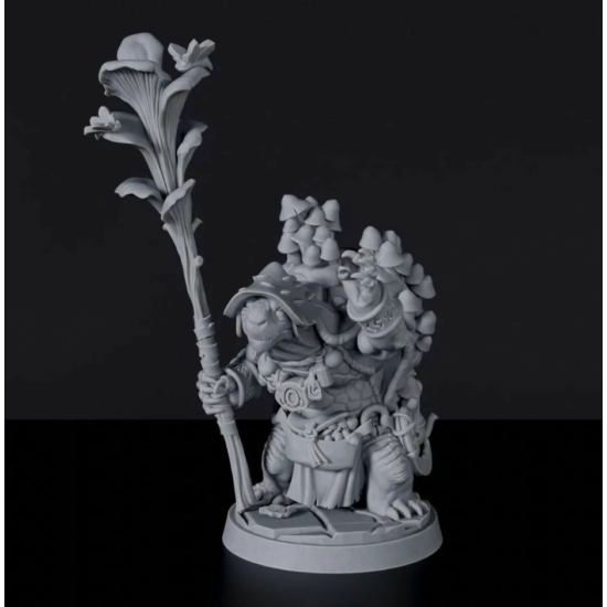 Titan Forge Miniatures: Tortoisefolk Male Druid ver 1