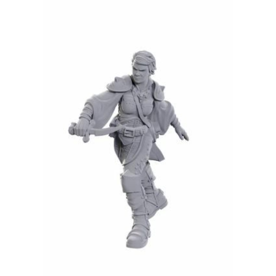D&D Nolzur's Marvelous Miniatures: Swashbuckler Wave 25