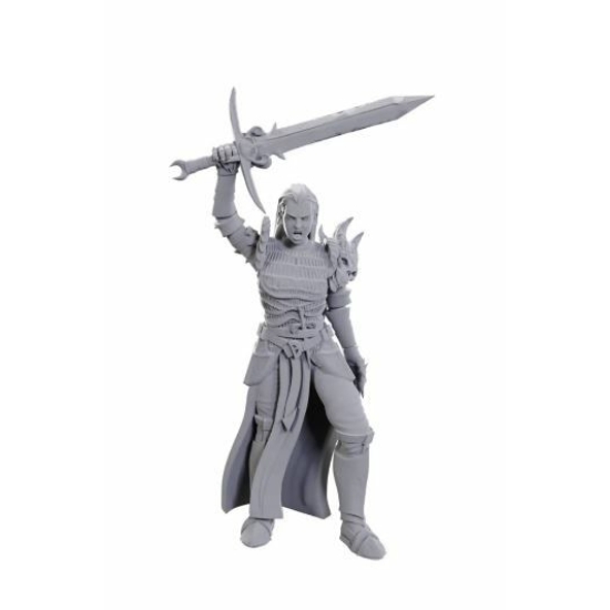 D&D Nolzur's Marvelous Miniatures: Blackguard Wave 25