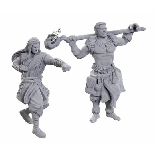 D&D Nolzur's Marvelous Miniatures: Archdruid & Martial Arts Adept Wave24