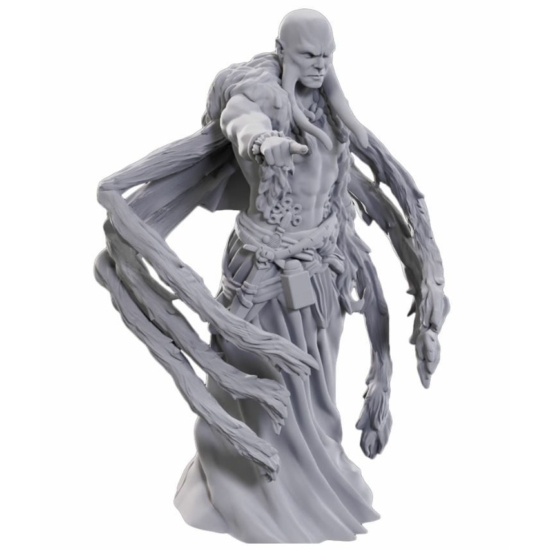 D&D Nolzur's Marvelous Miniatures: Kraken Priest Wave24