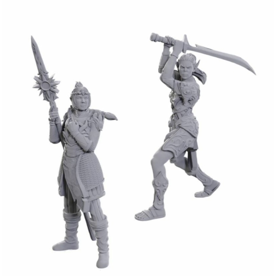 D&D Nolzur's Special Edition Miniatures: Baldur's Gate 3 - Lae'zel & Shadowheart