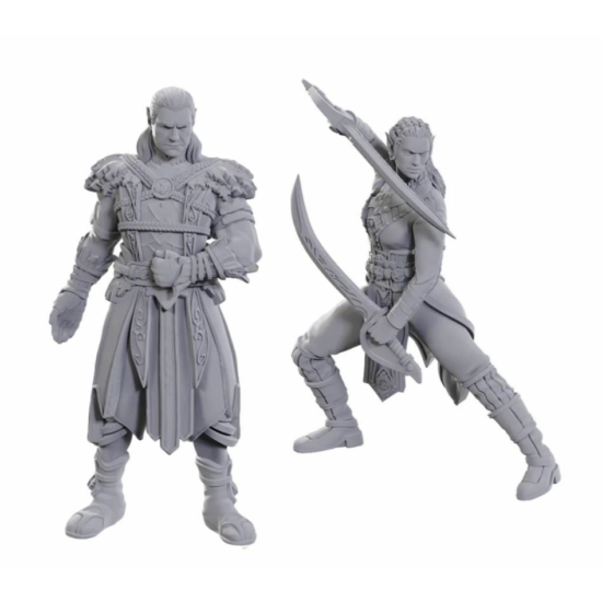 D&D Nolzur's Special Edition Miniatures: Baldur's Gate 3 - Jaheira & Halsin