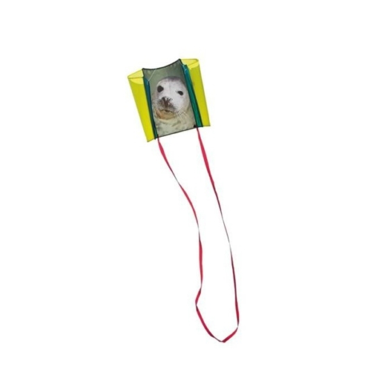 Sleddy Seal fóka